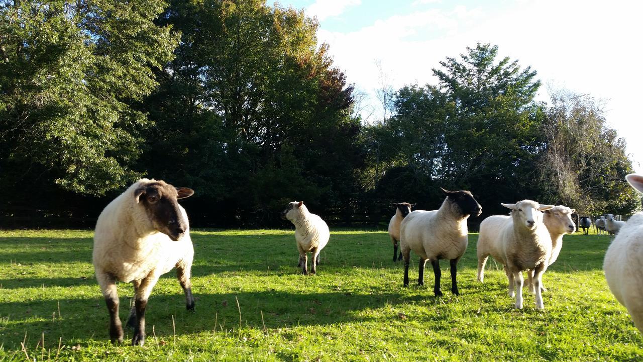 Woodbury Farm Bed & Breakfast Takanini Luaran gambar