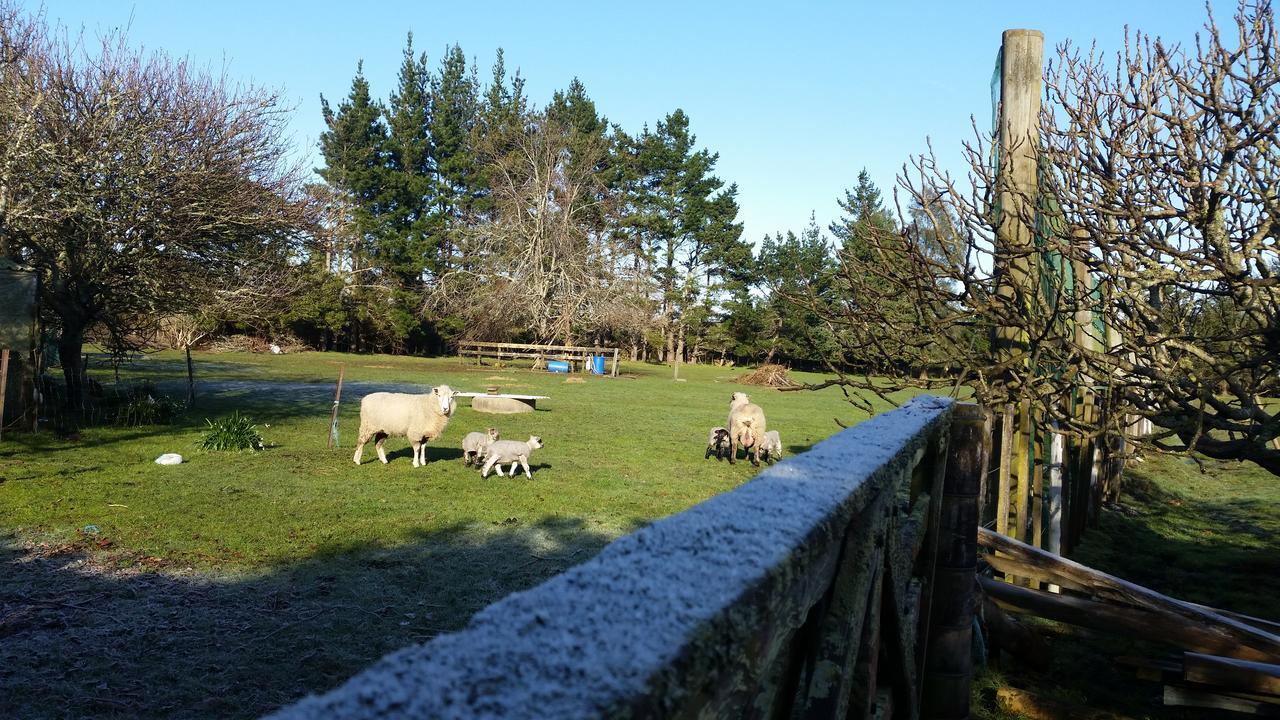 Woodbury Farm Bed & Breakfast Takanini Luaran gambar