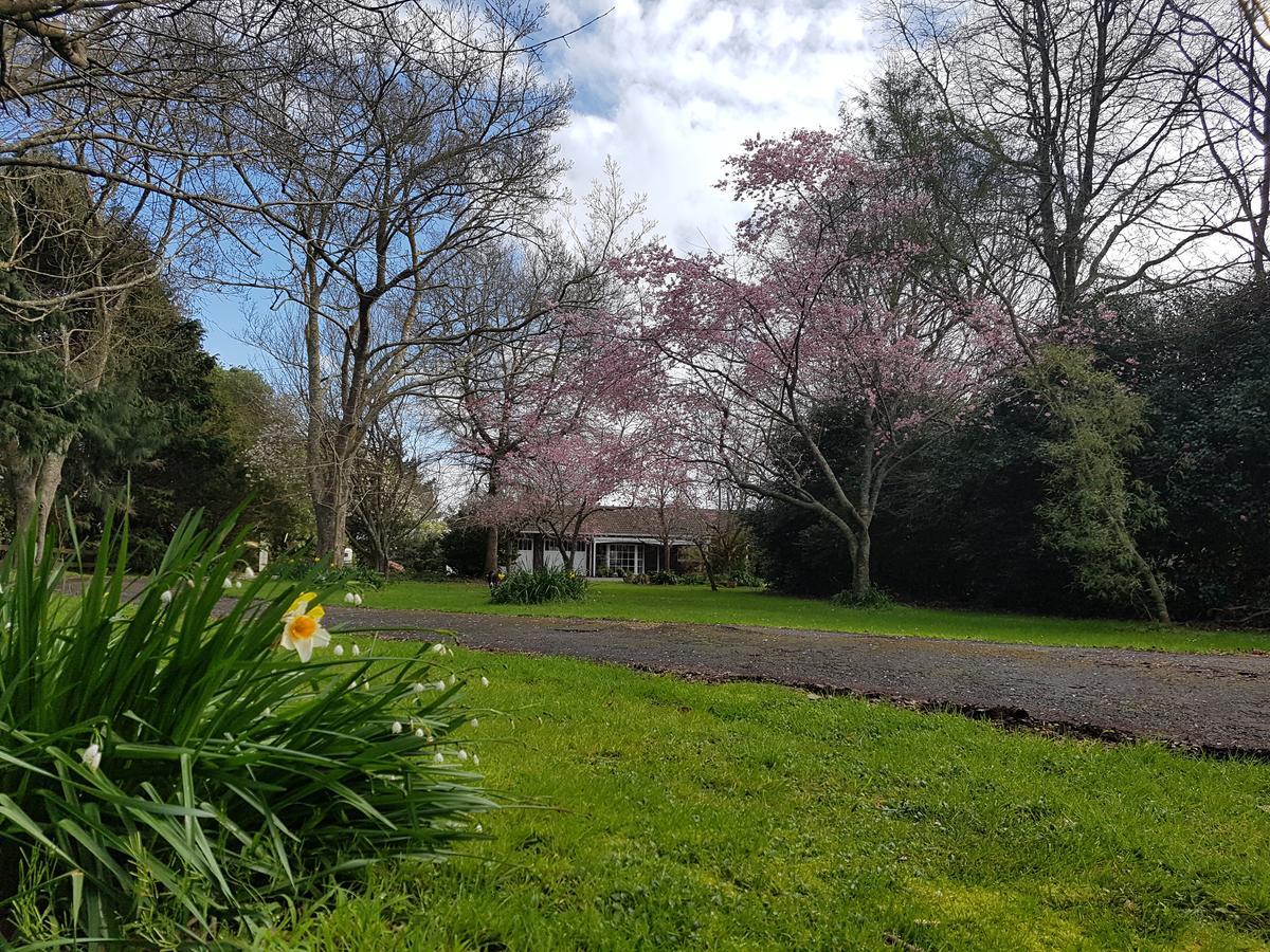 Woodbury Farm Bed & Breakfast Takanini Luaran gambar